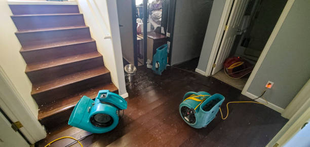  Cortland West, NY Water damage restoration Pros