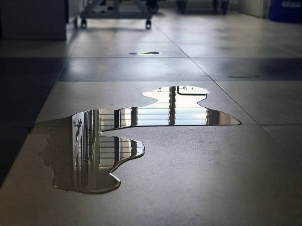 Best Water damage restoration specialists  in Cortland West, NY