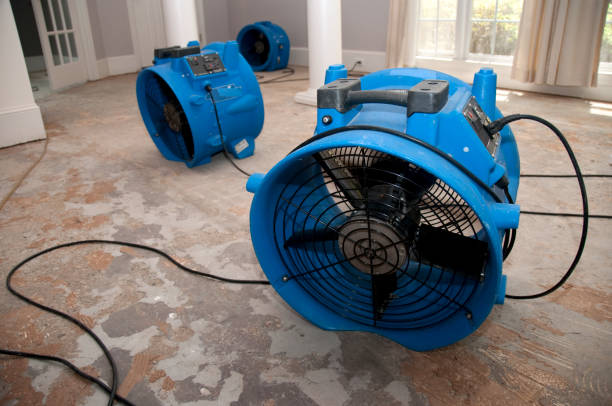 Best Flood damage cleanup  in Cortland West, NY