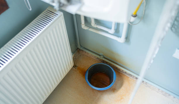 Best Water damage contractors near me  in Cortland West, NY