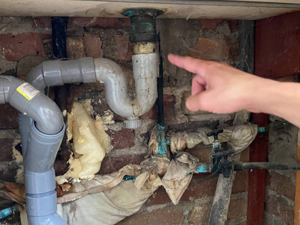 Best Local water damage restoration  in Cortland West, NY