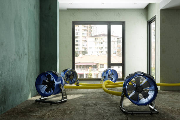 Best Water damage contractors near me  in Cortland West, NY