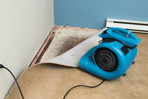Trusted Cortland West, NY Water damage restoration Experts